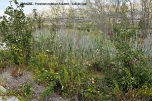 013- Vall de Ebo
